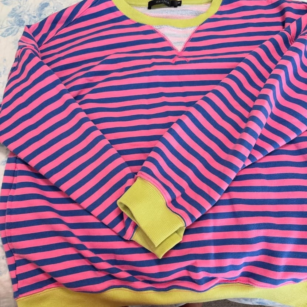 Striped Pink and Blue Sweatshirt